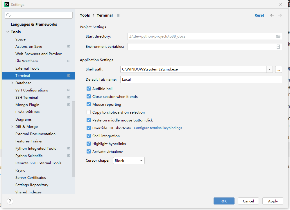 pycharm terminal settings